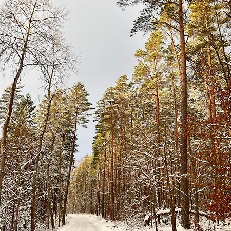 Apartment I - Na Warmi Dla Rodzin Z Dziecmi Gietrzwald